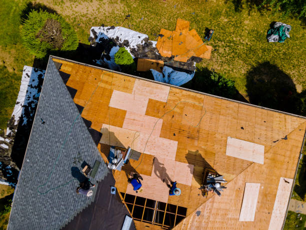 Best Commercial Roofing Services  in Oak Ridge, FL