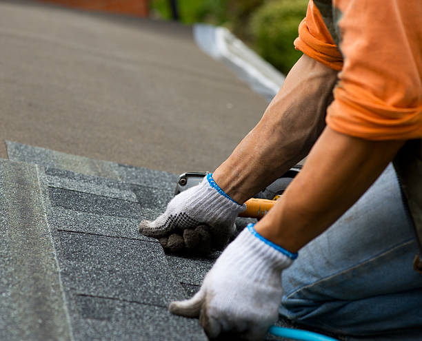 Best Metal Roofing Contractor  in Oak Ridge, FL