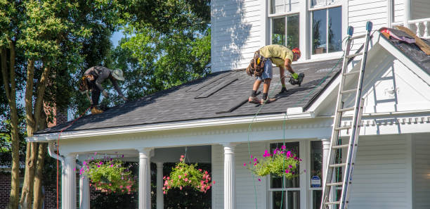Best Gutter Installation and Roofing  in Oak Ridge, FL